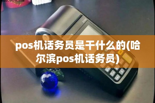pos机话务员是干什么的(哈尔滨pos机话务员)