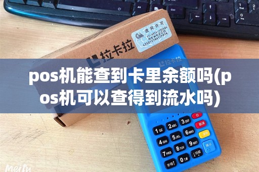 pos机能查到卡里余额吗(pos机可以查得到流水吗)