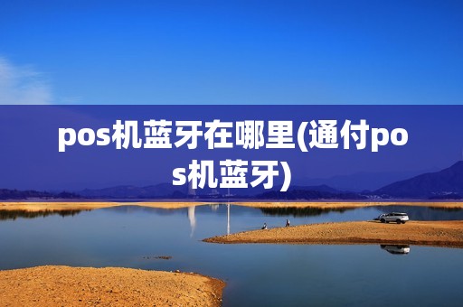 pos机蓝牙在哪里(通付pos机蓝牙)