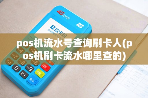 pos机流水号查询刷卡人(pos机刷卡流水哪里查的)