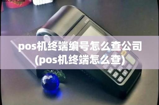 pos机终端编号怎么查公司(pos机终端怎么查)