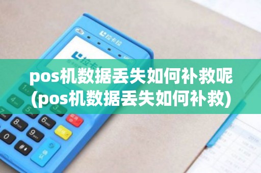 pos机数据丢失如何补救呢(pos机数据丢失如何补救)