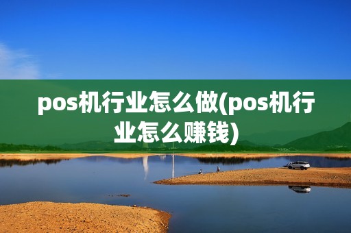 pos机行业怎么做(pos机行业怎么赚钱)