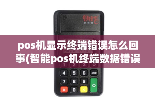 pos机显示终端错误怎么回事(智能pos机终端数据错误)