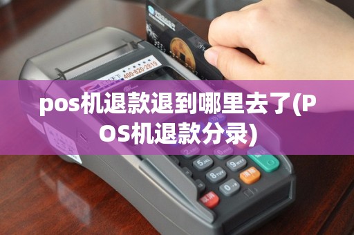 pos机退款退到哪里去了(POS机退款分录)