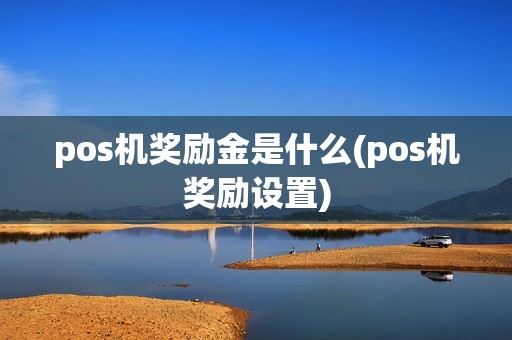 pos机奖励金是什么(pos机奖励设置)