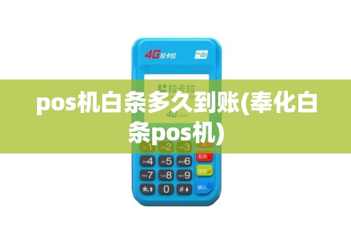 pos机白条多久到账(奉化白条pos机)