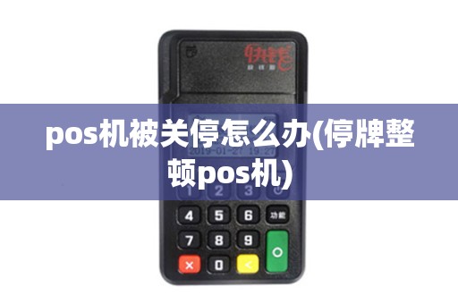 pos机被关停怎么办(停牌整顿pos机)