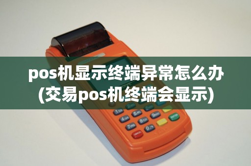 pos机显示终端异常怎么办(交易pos机终端会显示)