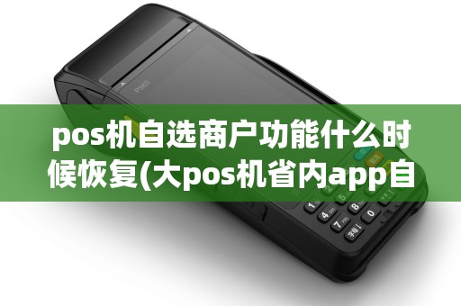 pos机自选商户功能什么时候恢复(大pos机省内app自选商户)
