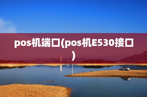 pos机端口(pos机E530接口)