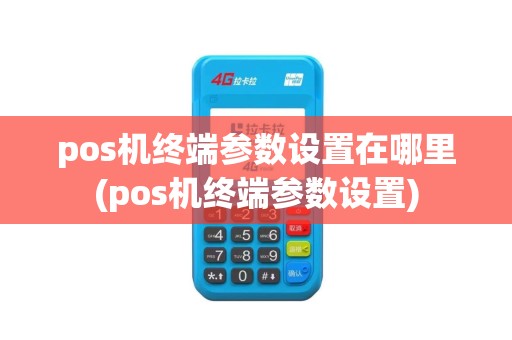 pos机终端参数设置在哪里(pos机终端参数设置)