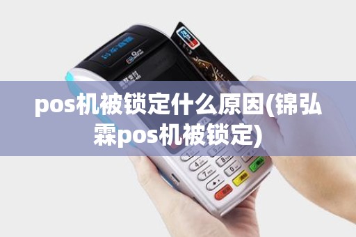 pos机被锁定什么原因(锦弘霖pos机被锁定)
