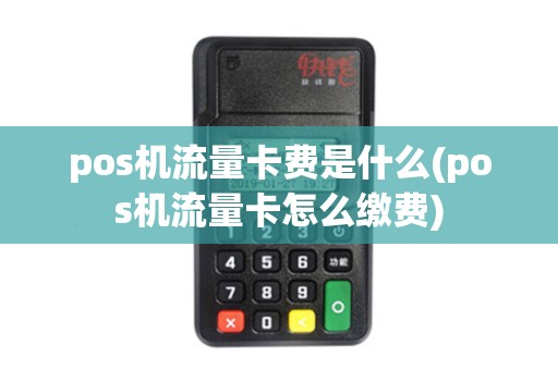 pos机流量卡费是什么(pos机流量卡怎么缴费)