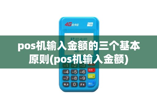 pos机输入金额的三个基本原则(pos机输入金额)