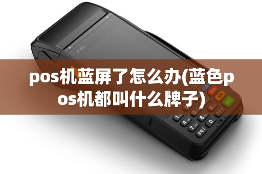 pos机蓝屏了怎么办(蓝色pos机都叫什么牌子)
