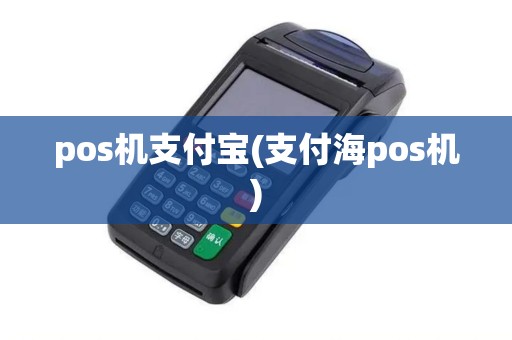 pos机支付宝(支付海pos机)
