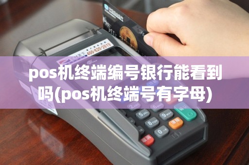 pos机终端编号银行能看到吗(pos机终端号有字母)