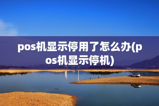 pos机显示停用了怎么办(pos机显示停机)