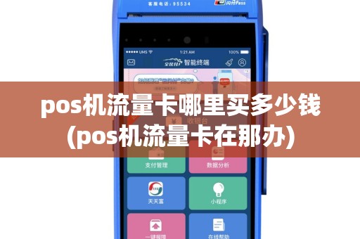 pos机流量卡哪里买多少钱(pos机流量卡在那办)