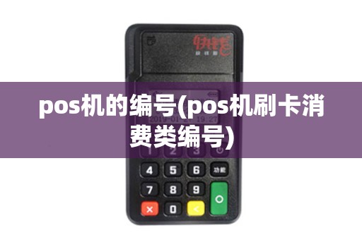 pos机的编号(pos机刷卡消费类编号)
