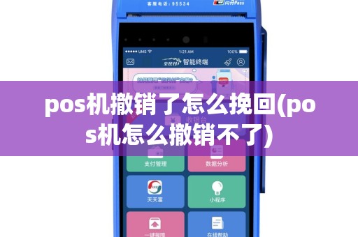 pos机撤销了怎么挽回(pos机怎么撤销不了)