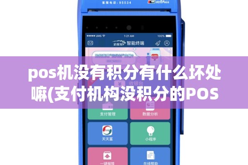pos机没有积分有什么坏处嘛(支付机构没积分的POS机)