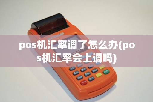 pos机汇率调了怎么办(pos机汇率会上调吗)