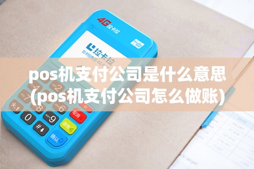pos机支付公司是什么意思(pos机支付公司怎么做账)