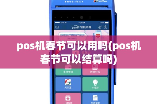 pos机春节可以用吗(pos机春节可以结算吗)