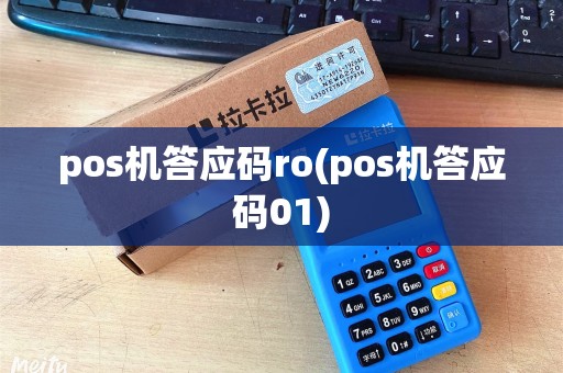 pos机答应码ro(pos机答应码01)