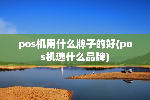 pos机用什么牌子的好(pos机选什么品牌)