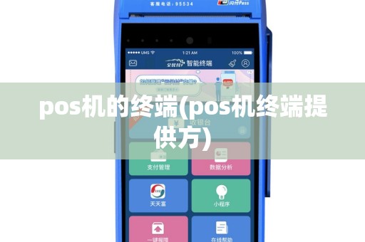 pos机的终端(pos机终端提供方)