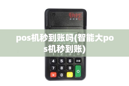pos机秒到账吗(智能大pos机秒到账)