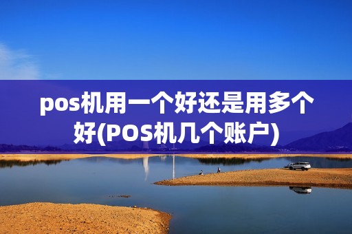 pos机用一个好还是用多个好(POS机几个账户)