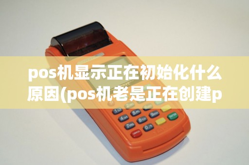 pos机显示正在初始化什么原因(pos机老是正在创建ppp)