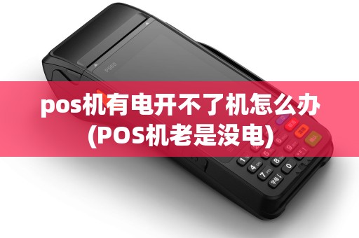 pos机有电开不了机怎么办(POS机老是没电)