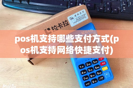 pos机支持哪些支付方式(pos机支持网络快捷支付)
