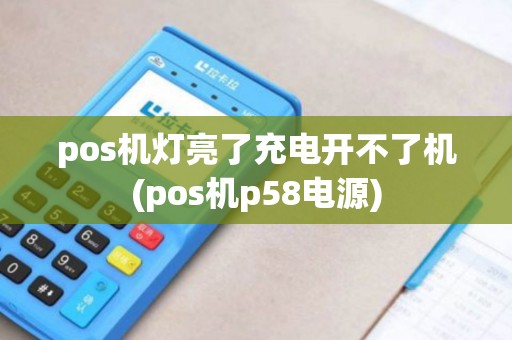 pos机灯亮了充电开不了机(pos机p58电源)
