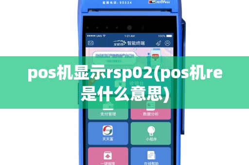 pos机显示rsp02(pos机re是什么意思)