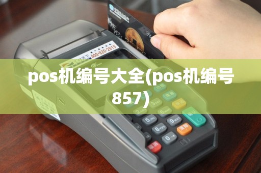 pos机编号大全(pos机编号857)