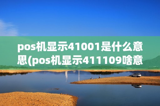 pos机显示41001是什么意思(pos机显示411109啥意思)