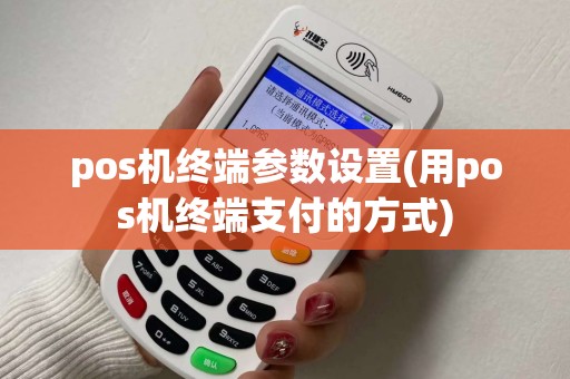 pos机终端参数设置(用pos机终端支付的方式)
