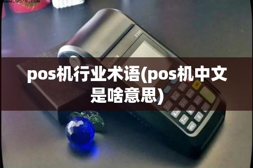 pos机行业术语(pos机中文是啥意思)