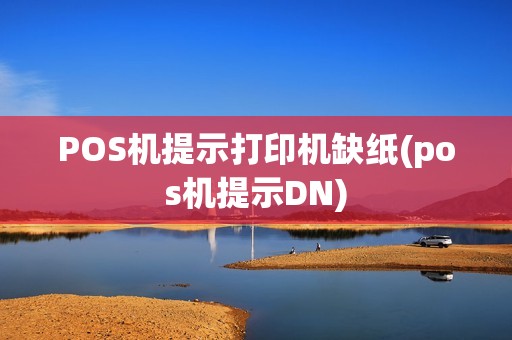 POS机提示打印机缺纸(pos机提示DN)