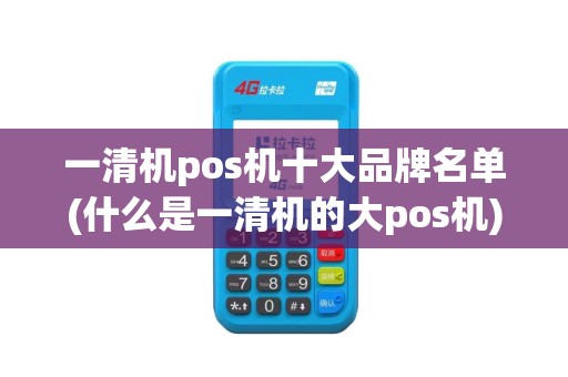 一清机pos机十大品牌名单(什么是一清机的大pos机)