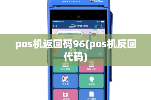 pos机返回码96(pos机反回代码)