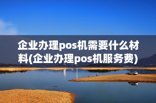 企业办理pos机需要什么材料(企业办理pos机服务费)