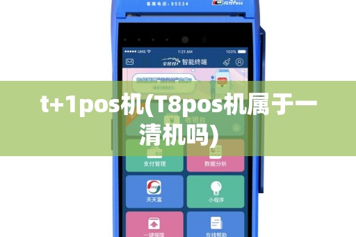 t+1pos机(T8pos机属于一清机吗)