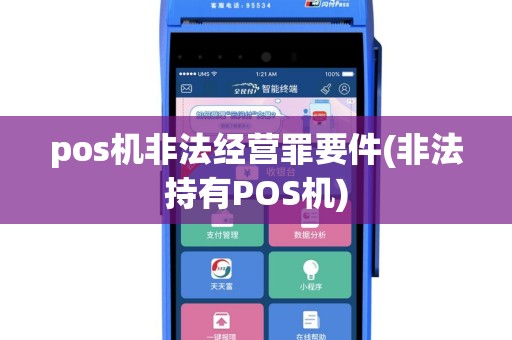 pos机非法经营罪要件(非法持有POS机)